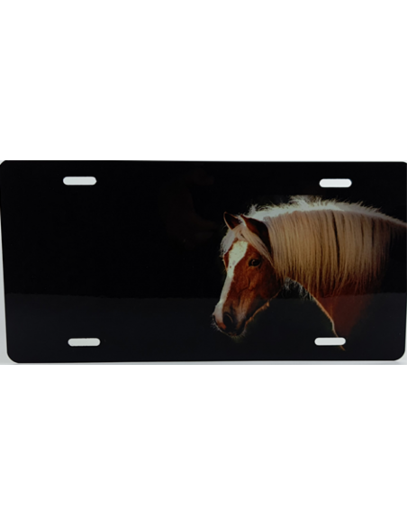 Skilt med Hestenavn. Få dit eget skilt med dit eget tryk. Hest brun.