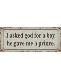 Skilte i Retrolook Sjovt, Asked fir a boy