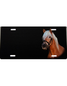 Haflinger med bidsel skilt