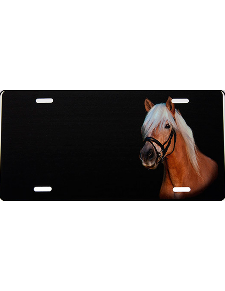 Haflinger med bidsel skilt