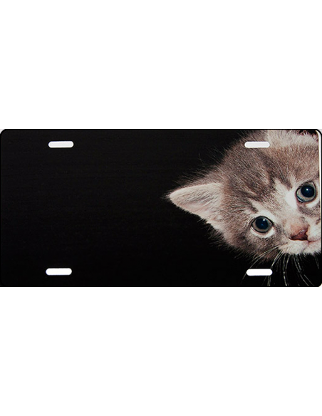 Kattekilling skilt sort