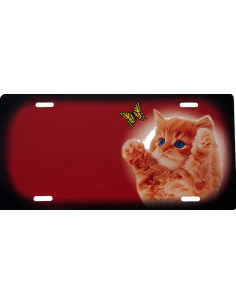 Kattekilling orange - rødt skilt