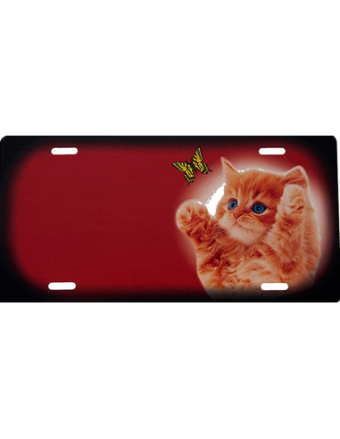 Kattekilling orange - rødt skilt